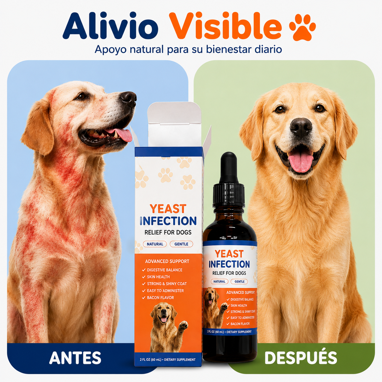 Dermavet+ Yeast Infection