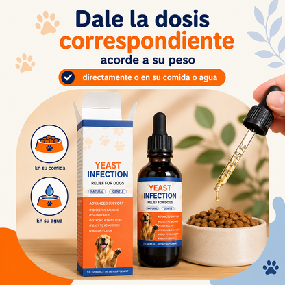 Dermavet+ Yeast Infection