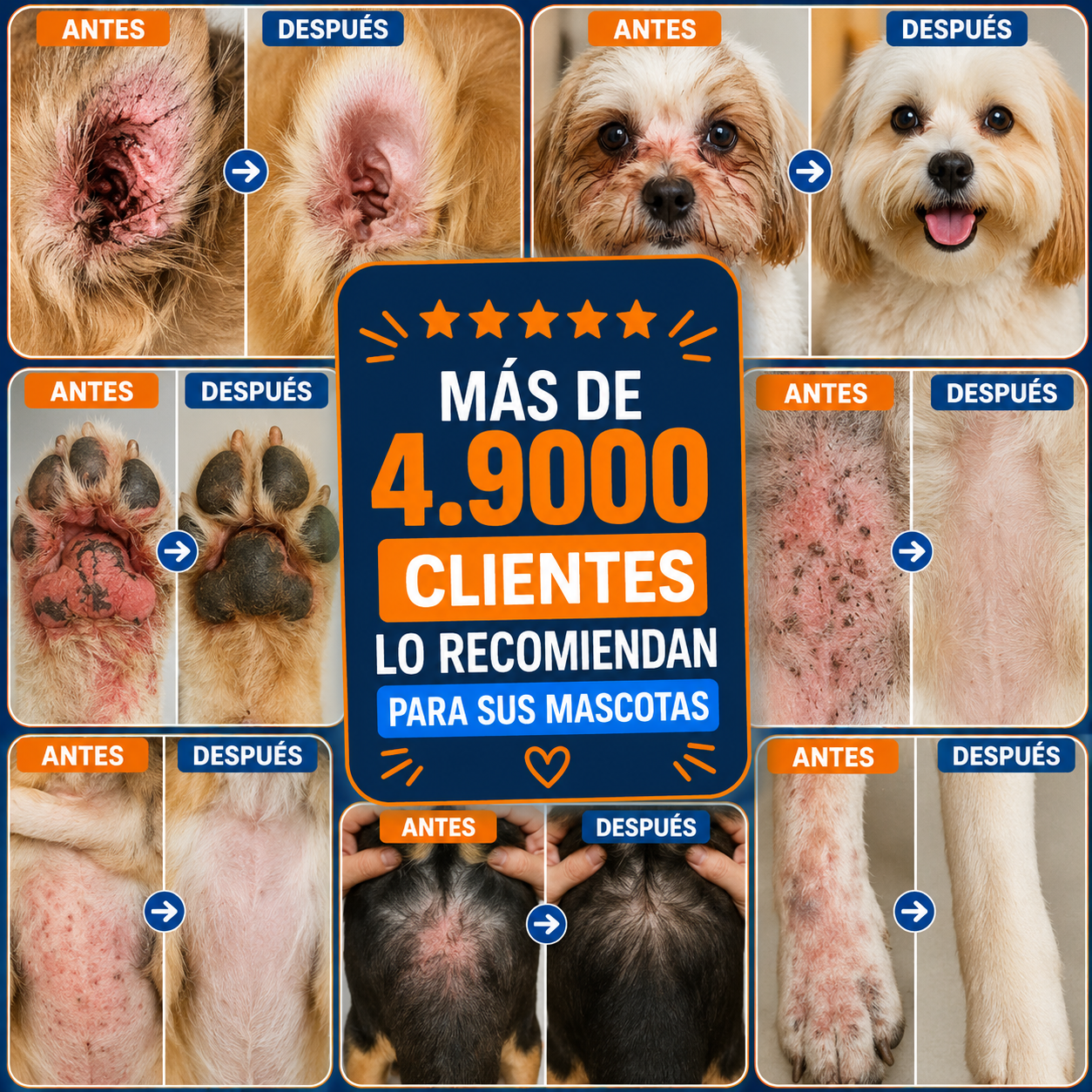 Dermavet+ Yeast Infection