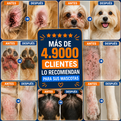 Dermavet+ Yeast Infection