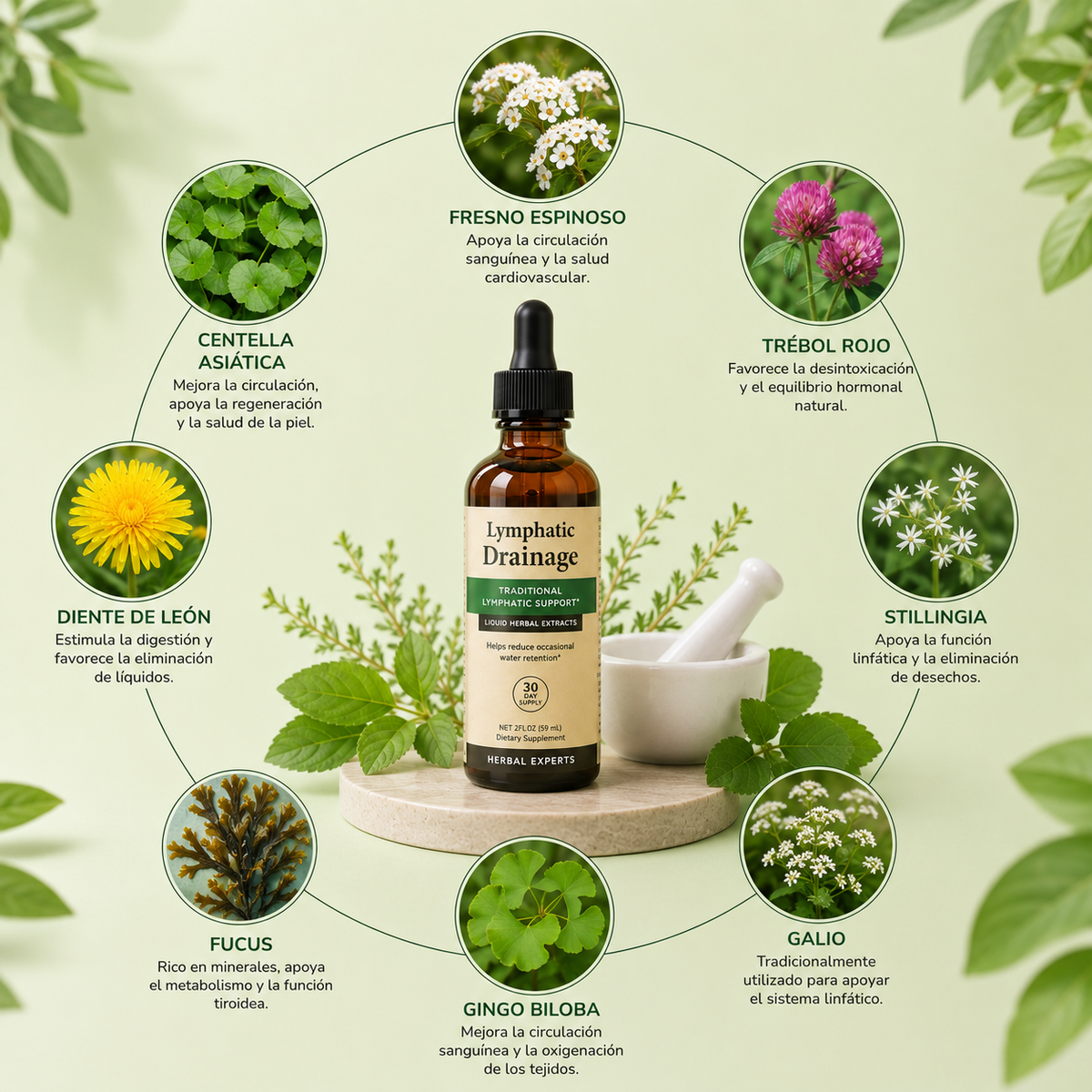 Drenaje Linfático Herbal (Cara y piernas)