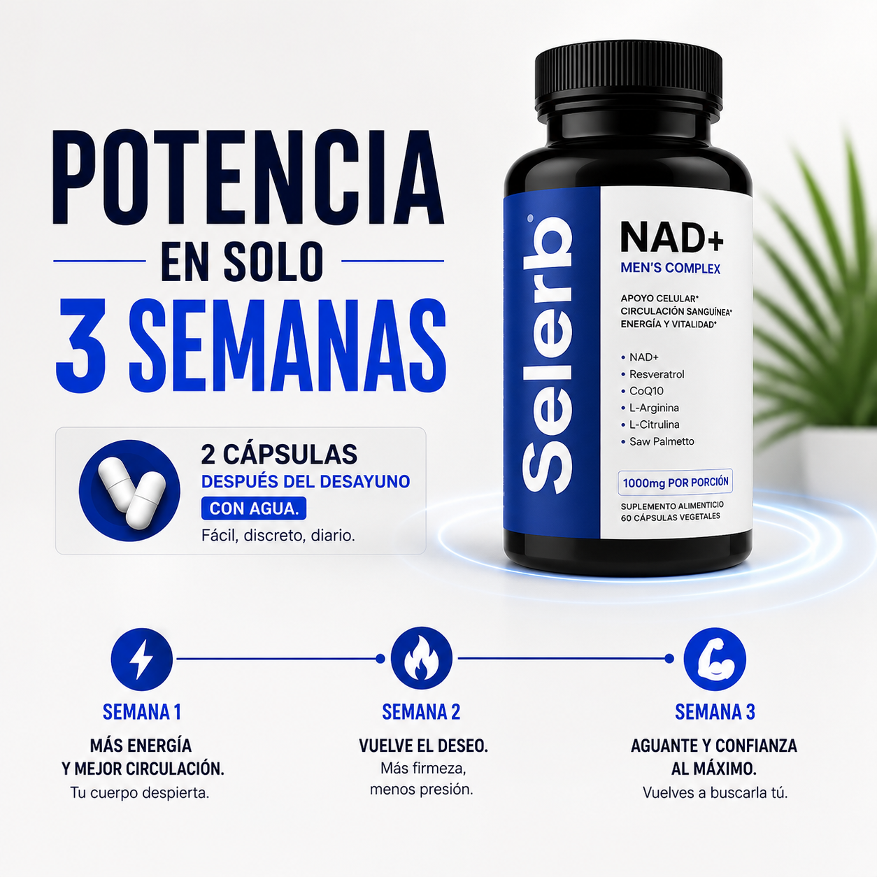Selerb™- NAD+Vitalidad Masculina